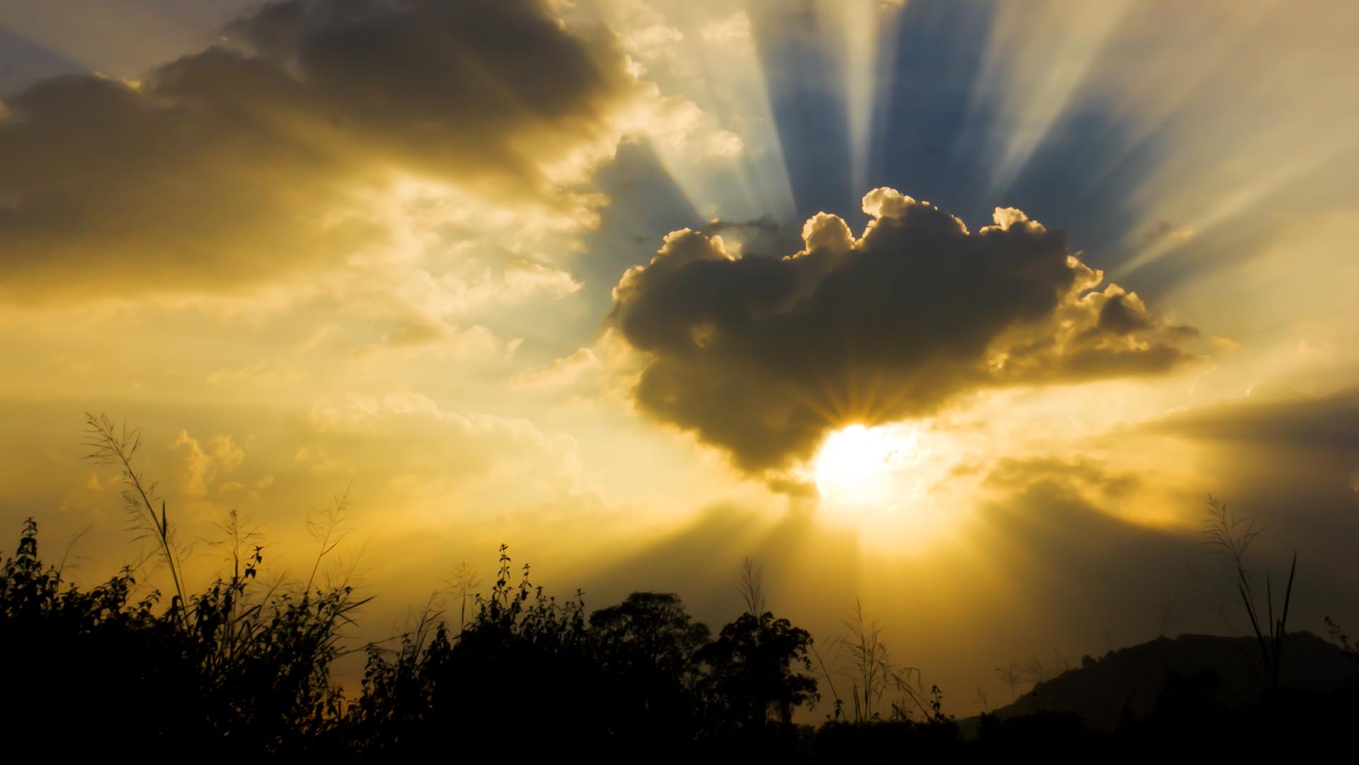 Think Tank Executive Briefing: Field Service, Mobility and the Cloud (2015)