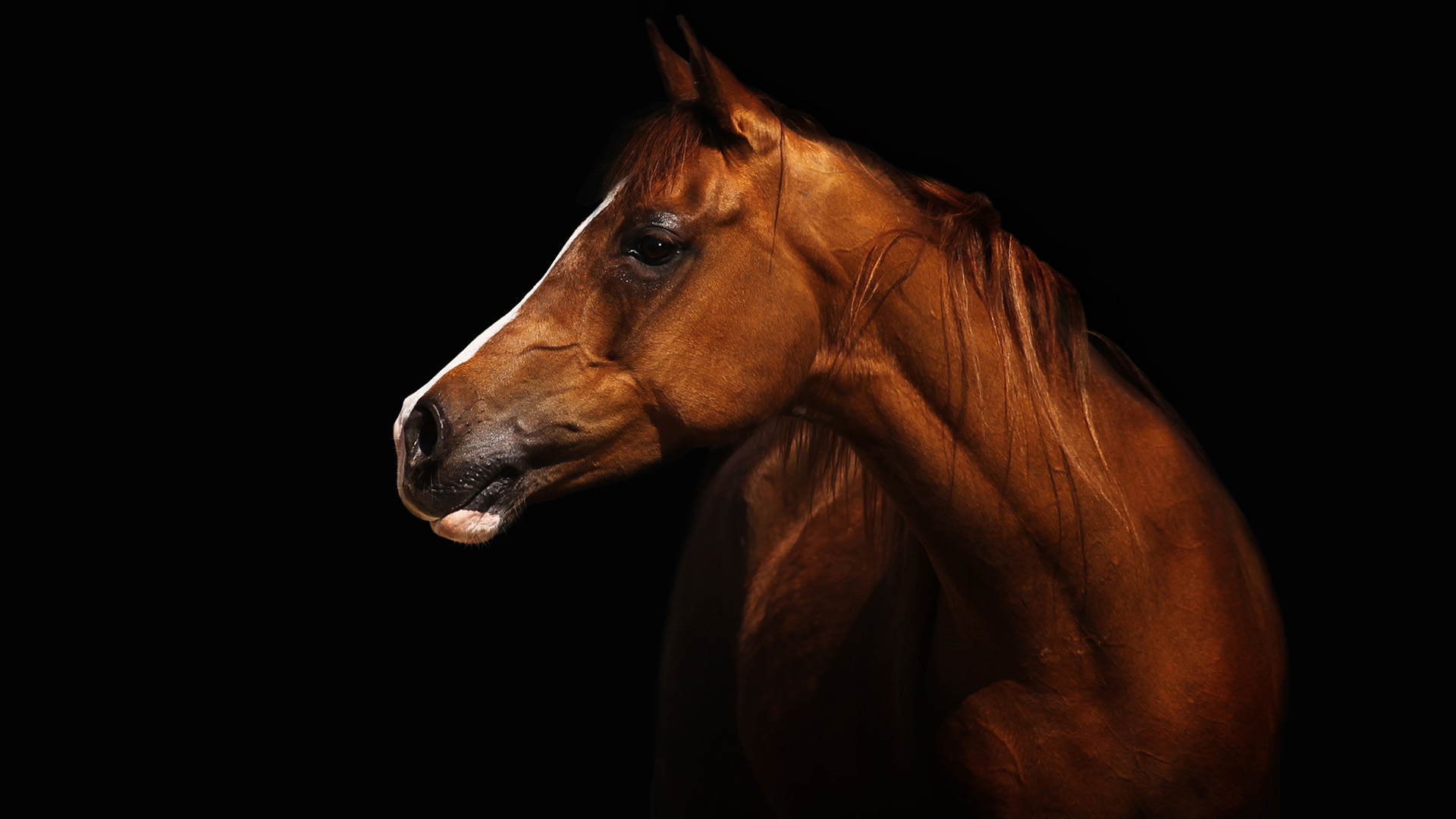 The Big Discussion: Dynamic Scheduling – Part 2.