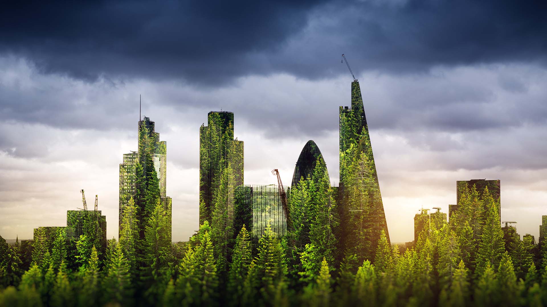 Building your own Social Environment for Success