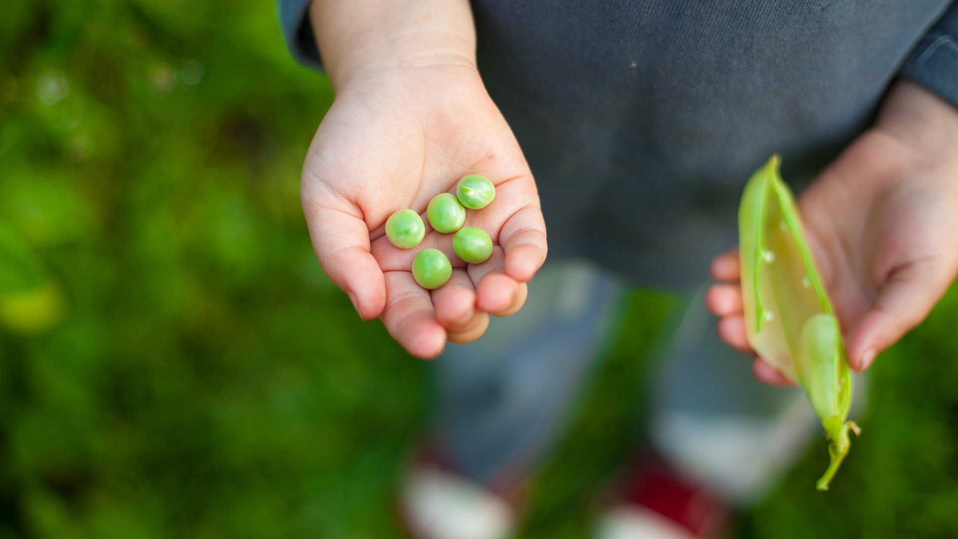 Five P’s to Post-Covid Service Resilience