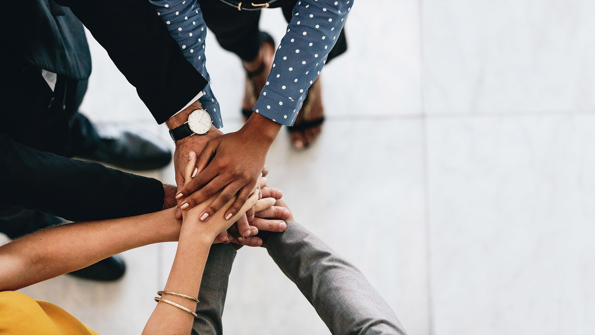 Identifying Organisational Culture in Business