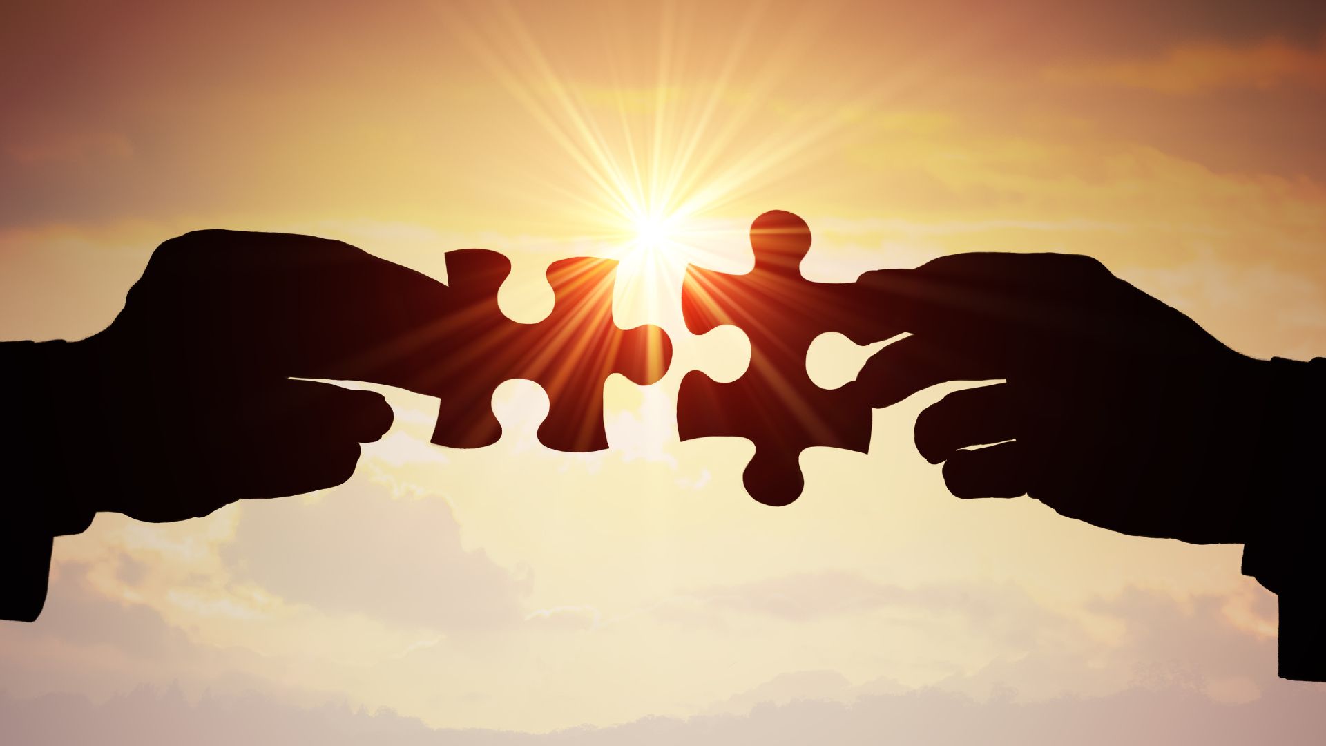 Is Transparency the Key Factor in Establishing Genuine Partnership-Based Relationships?