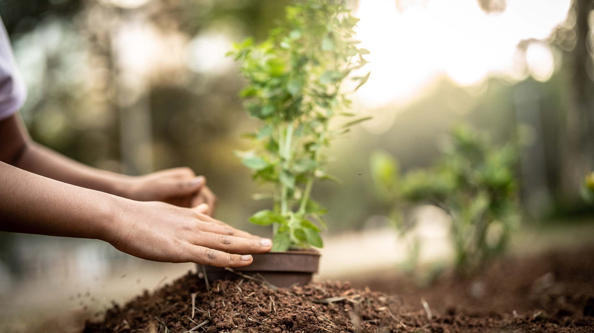 Developing a Growth Mindset