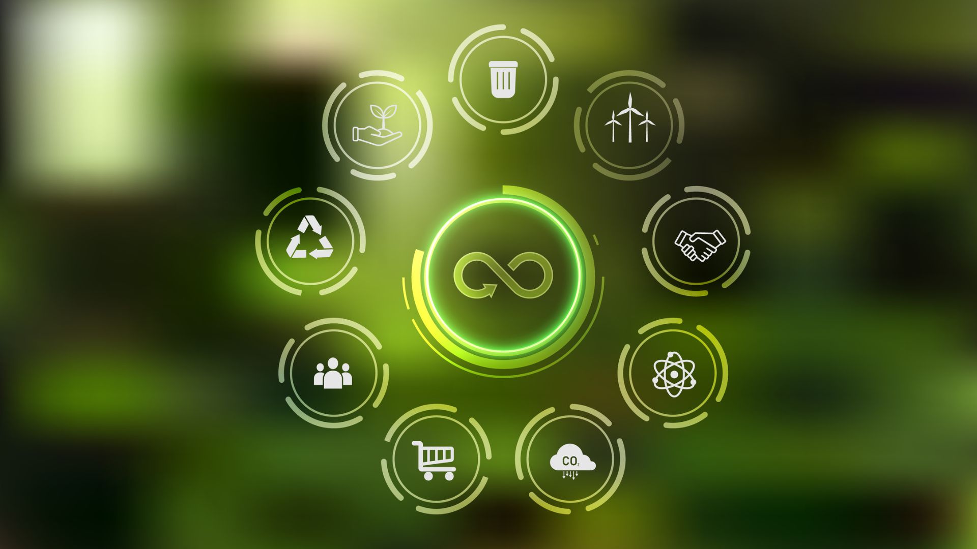 The Circular Economy and Servitization in Practice