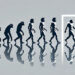 Sociable Couriers win customer attention and loyalty